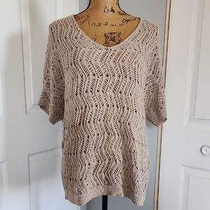 Dana Buchman Taupe V-Neck Sweater
